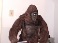 cykong tests cykong tests