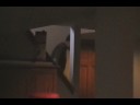 THE C.H.U.D Part 1