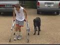Cole Massie Walking Cole Massie Walking