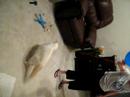 Evvy with string