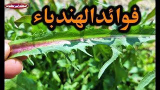  | موسوعة التراث الفلسطيني