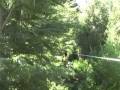 Canopy Araucania Extreme