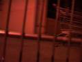 videos de Awesome Attack of the evil Trolley