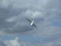 Airbus A380 @ Farnborough 08
