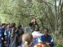 Primaria en La Alfranca