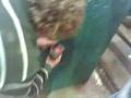 rompiendo un candado en taller