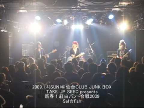 Sel☆fish /新春!紅白バンド合戦2009