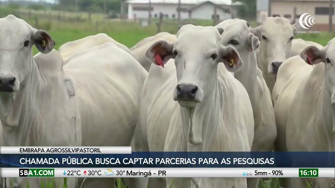 Chamada pública busca captar parcerias financeiras para as pesquisas de ILPF