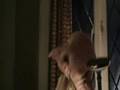 Harry-Potter-ep-1