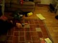 videos de kai somersaults.mov