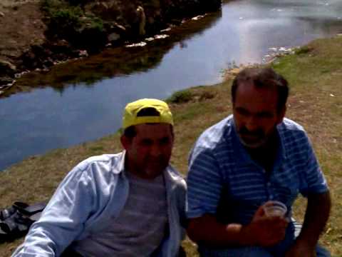 ayran