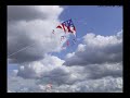 UFO,Crop Circles and Alien Skull