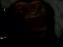 Monkey Head Monkey Head