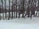 Enjoying the snow - Bug-style