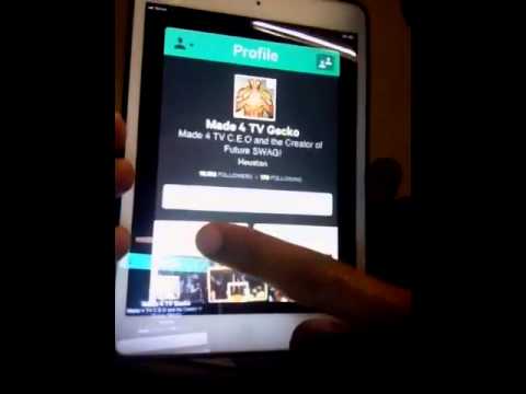 how to get more followers in vine