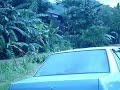 Flood in Telipok