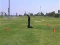 Sit Means Sit Los Angeles Dog Training