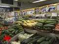 Consumer Prices Surge, Job Market Remains Strain