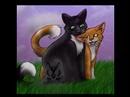Firestar, Graystripe and Ravenpaw - All Star