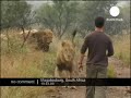 ¿Quién dijo que el perro es el mejor amigo del hombre?