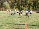 arlington flag team