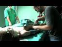Como se hizo CAMINO. 17.- Operacion Maniqui