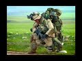 Peaceful Solution by Willie, Amy Nelson adapted by Jackdog, Rara and Doc