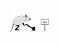 aha-rat.html