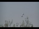 The Thunderbirds practice at Nellis AFB.