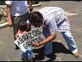 abrazos gratis cordoba veracruz free hugs