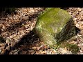Clip 8 Ehem. Eisenerzgrube Niederschlettenbach und Relikte des II WK