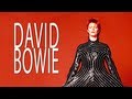 Bowie, il rock in mostra