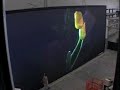 display de LED - SP12 - ON/TecnoVISION