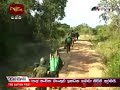 SLA Enter to Kokavil general area. Wanni Operation 27 th September 2008