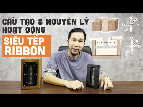 Cấu tạo và nguyên lý hoạt động loa siêu tép ribbon (demo bằng siêu tép đầu bảng Aurum Cantus G1)