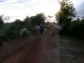 Country roads in Udon Thani province