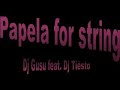 Papela for strings - Dj Gusu ft. Dj Tiësto