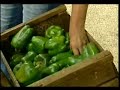 A Walk in Cuba: People & Culture