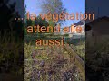 mai / juin / juillet 2008. le chemin de fer du vivarais agonise cinq ans apr�s la constitution d'une sem qui devait le p�renniser pour le meilleur ; fin juillet, la sem est mise en liquidation judiciaire ... pourquoi ? 

il est n�cessaire de tout mettre en oeuvre pour pr�server et remettre en �tat de fonctionnement ce patrimoine et l'expliquer, le montrer, l'entretenir comme toute chose unique et importante. 

cette vid�o est non sonoris�e, parce qu'il me semblait stupide de rajouter une musiquette ou un fond sonore qui n'est plus. aujourd'hui sur place, c'est le silence qui r�gne, � tournon et sur l'ensemble de la ligne. l'ambiance sonore particuli�re aux paysages urbains et ruraux travers�s par la ligne est amput�e d'une de ses composantes importantes, sans que cette modification profonde soit per�ue par les habitants. 

vous voulez faire un peu quelque chose ? allez sur les diff�rents sites accessibles avec le th�me 