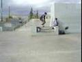 bayer skate !!! ( villa juareskate )