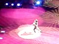 Noel Fielding stand up (part1 of 2)
