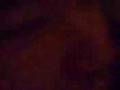 videos de HAPPY BRITHDAY LOU WONG VIDEO05
