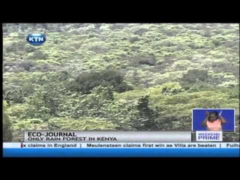 KTN Prime Full Bulletin with Yvonne Okwara 08.12.2013 KTN Prime Full Bulletin with Yvonne Okwara 08.12.2013