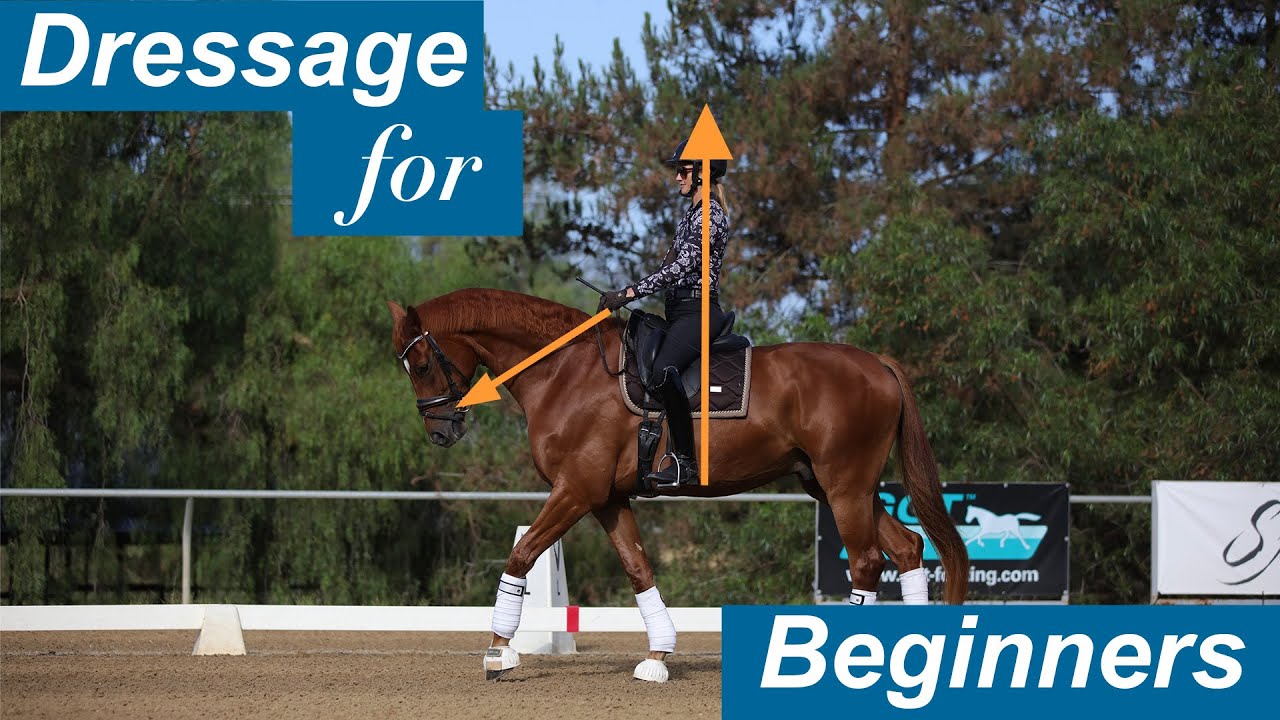 Dressage for Beginners