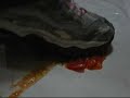 ???????? tomato crushed by skechers