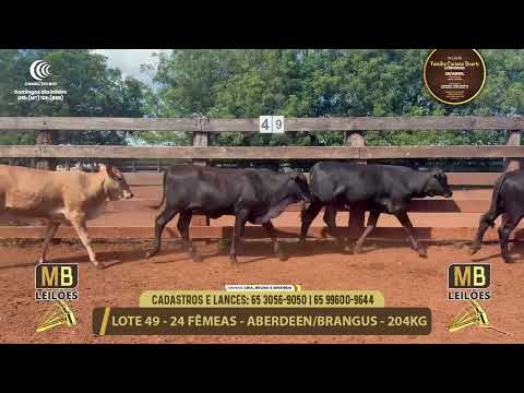 11� LEIL�O FAM�LIA LUCIANO DUARTE E CONVIDADOS
