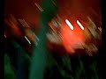 Kaiser Chiefs part 3