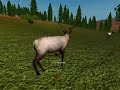 7mm Long Range Scope