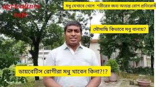 মধু খাওয়ার আগে  নিয়ম ও সতর্কতাগুলো জেনে নিন- মধু নিয়ে যত কথা