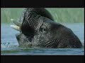 Anggun \"Un Jour Sur Terre\" Trailer